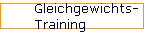 Gleichgewichts- 
 Training