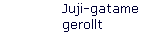 Juji-gatame 
 gerollt