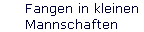Fangen in kleinen 
 Mannschaften