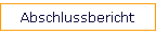 Abschlussbericht