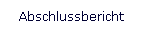 Abschlussbericht